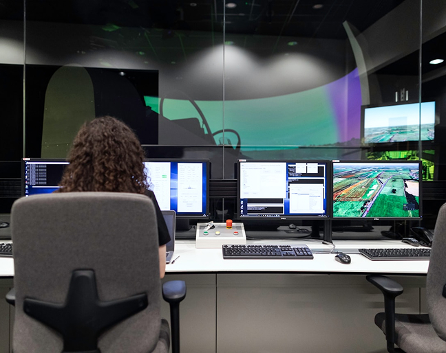 Woman with her back turned towards computer screens